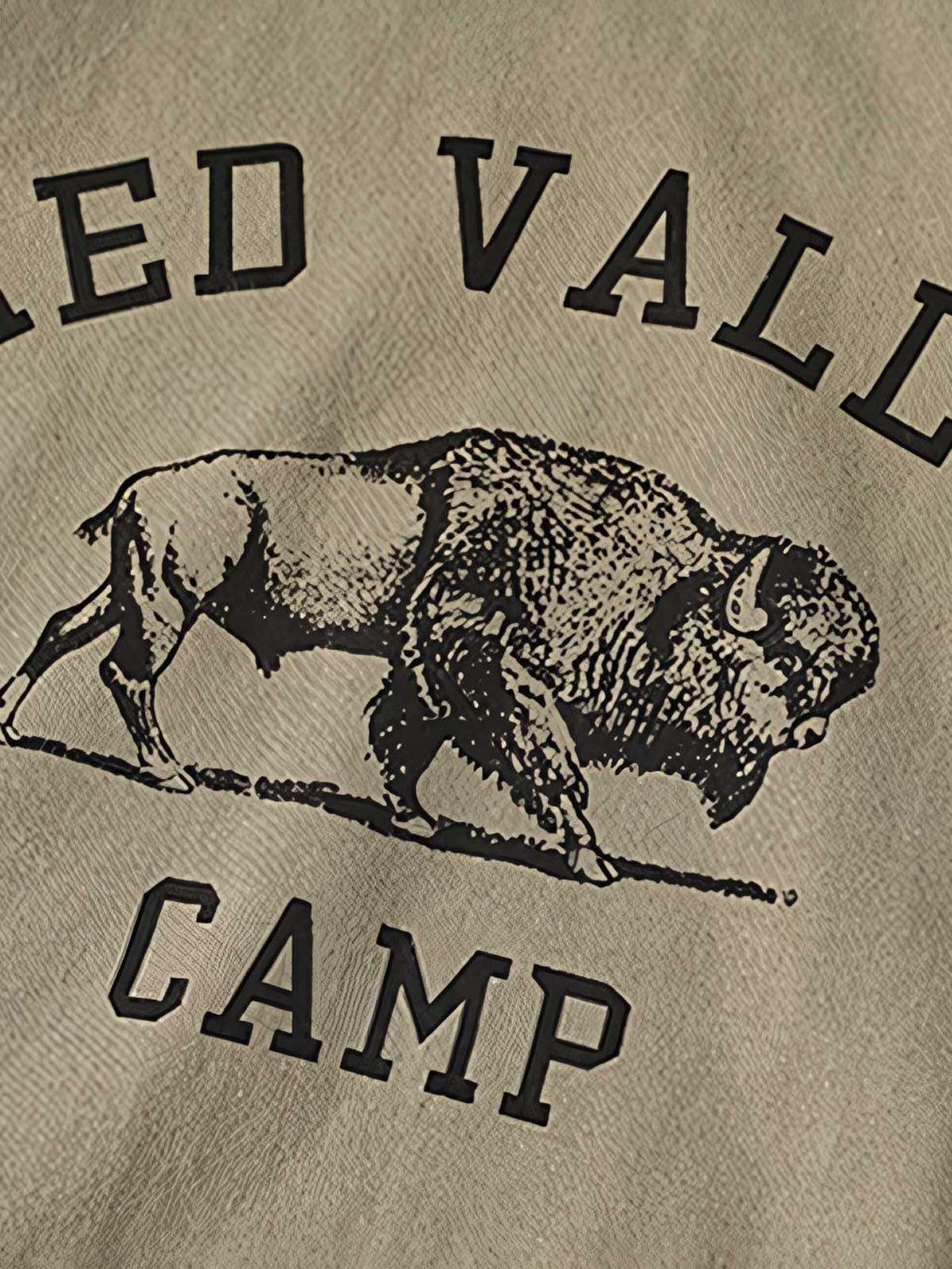 Tシャツのバイソン図柄と「RED VALLEY CAMP」の文字のクローズアップ