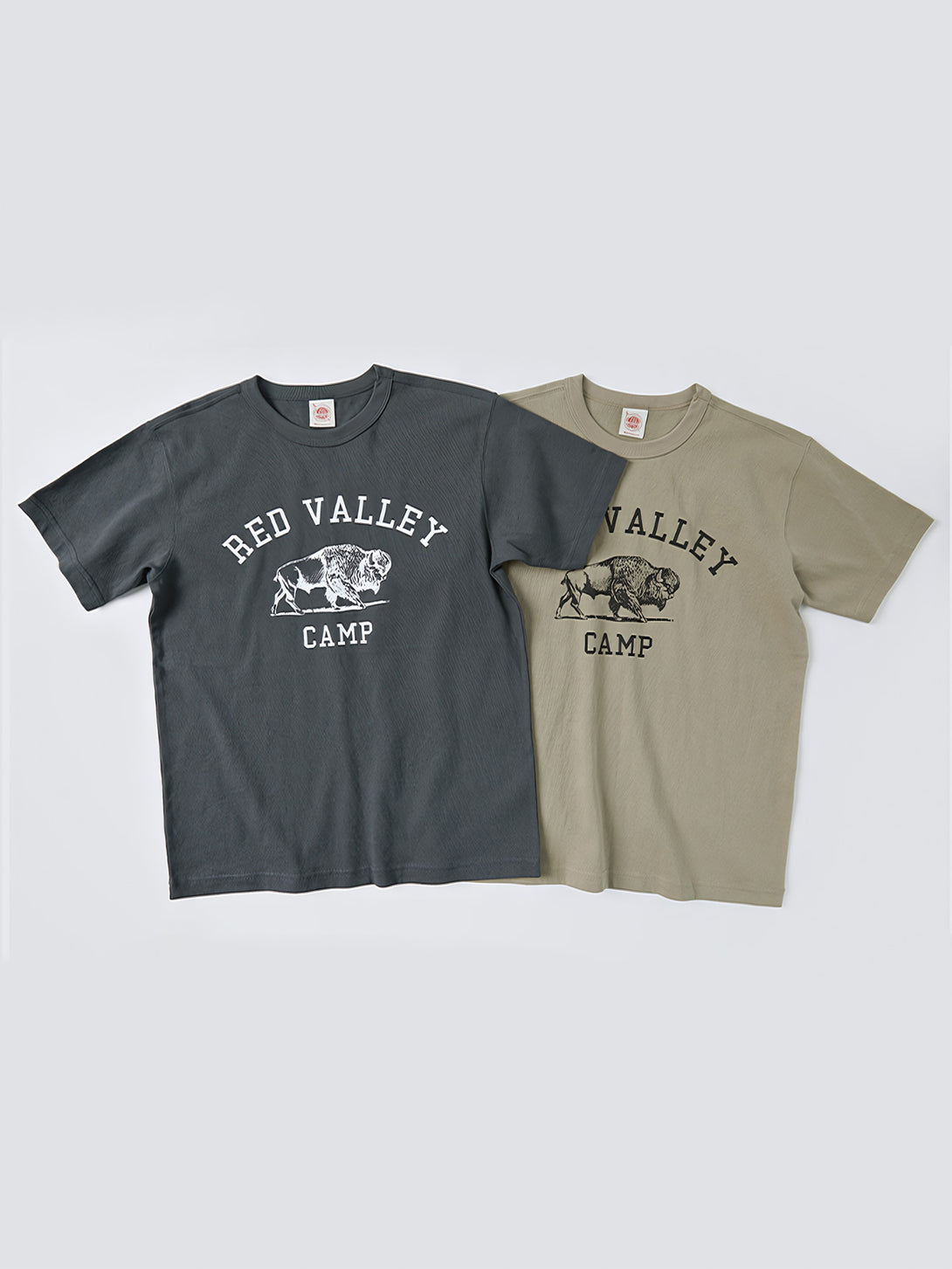 アメリカンヴィンテージ バイソン キャンプ Tシャツの全体像